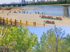 -长白岛森林公园