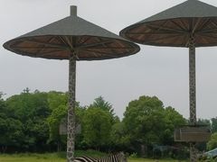 -宁波野生动物园