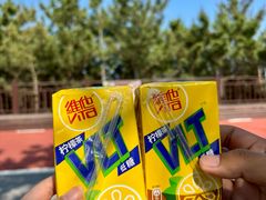 -日照海滨国家森林公园