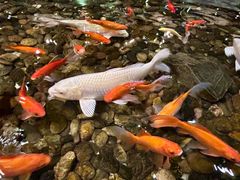 -上海怡沁园度假酒店