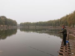 -东坝千亩湖公园