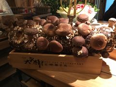 -大头椰·椰子鸡火锅(南宁万象城店)