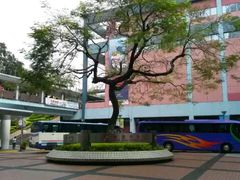 -香港珀丽酒店