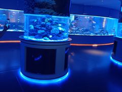 -上和臻品中国菜(花园街店)