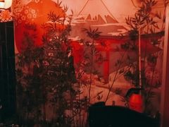 -浦·传统日式料理(3 5 1 1 店)