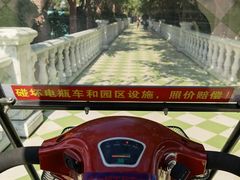 -百万葵园