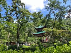 -岳麓山风景名胜区