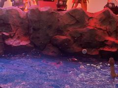 -水王国温泉水世界