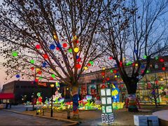 -郎园Park-停车场