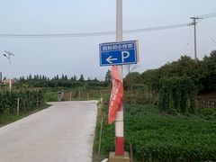 -妈妈的小作坊(陈家镇店)