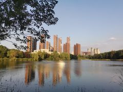 -四里河滨水生态公园