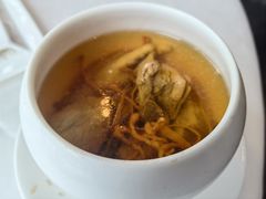 虫草花炖猪展-广州塔晖粤轩中餐厅
