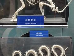 -国家自然博物馆