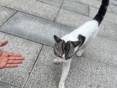 -西安大兴善寺