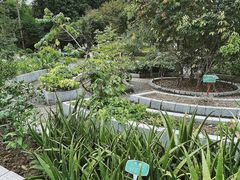 -广西壮族自治区药用植物园