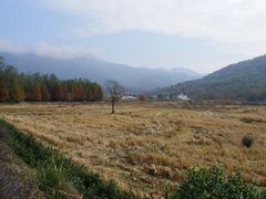 景点-塔川景区