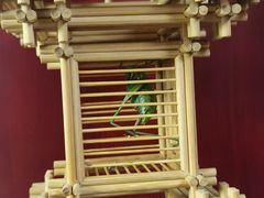 -顺峰(农展馆店)