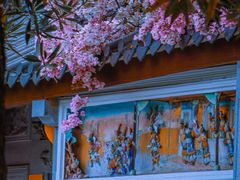 -深圳国际园林花卉博览园