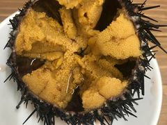 -海胆小馆(东北水饺·春柳店)