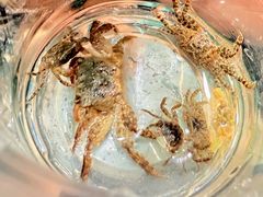 -渔享海尚鲜酒楼(广海渔人码头店)