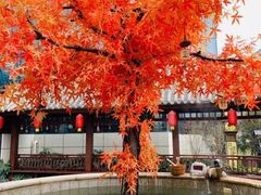 -太白山御龙湾温泉