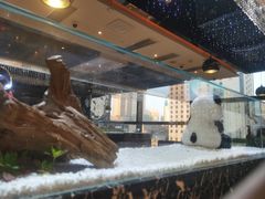 -红辣椒·川菜·火锅(大洋中心店)