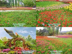 -国家植物园