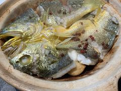 砂锅焗黄花鱼-1937青岛老味道·海肠捞饭·青岛菜(大鲍岛栈桥店)