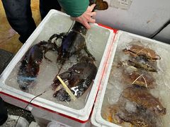 -众彩物流水产市场