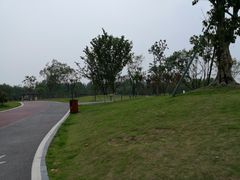 -府河摄影公园