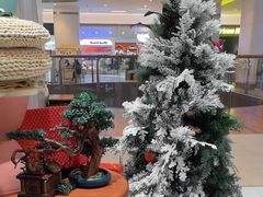 -海马体家庭照相馆(北京芳圆里 ID MALL店)