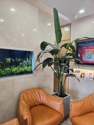 -臻悦医疗美容整形门诊部