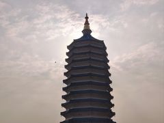 -八大处公园