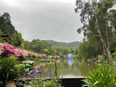 -深圳仙湖植物园
