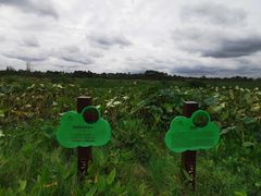 -三圣花乡旅游区