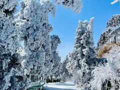 -萍乡武功山风景名胜区