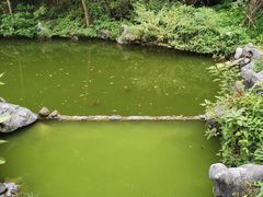 -杭州西湖风景名胜区-三生石