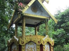 -瑞丽独树成林风景区