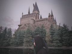 -哈利波特魔法世界