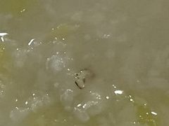 -清真磊磊烧烤老店(饮虎池街34号店)