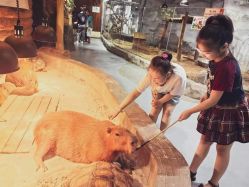 -Zoolung Zoolung动物主题公园(海信广场店)