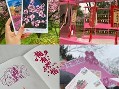 -梅花山(明孝陵内)