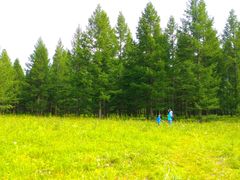 景点-塞罕坝国家级自然保护区