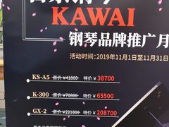 -柏斯琴行(汾阳店)