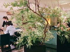 -澄江日本料理