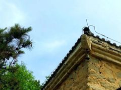 -白水寺森林公园