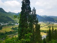 -万峰林风景区