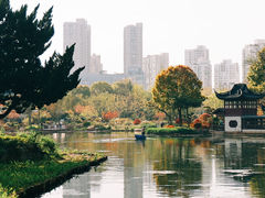 -和平公园