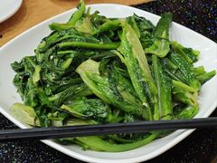 -新合益乡村农庄