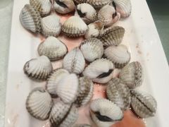 血蛤-华盛丰温州大排档(东三环南路店)